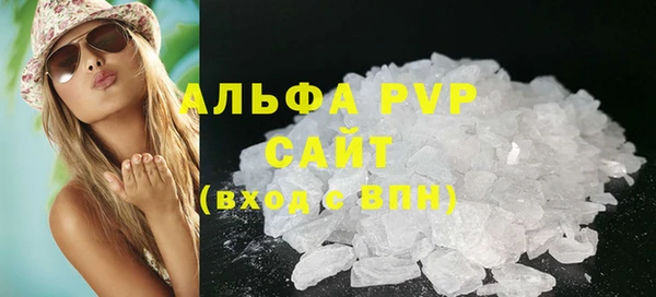 стаф Осинники