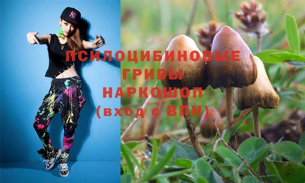 амф Абаза
