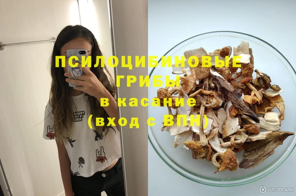 стаф Осинники