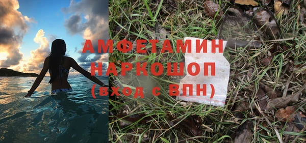 стаф Осинники